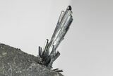 Lustrous, Metallic Stibnite Crystal Spray On Matrix - China #175841-2